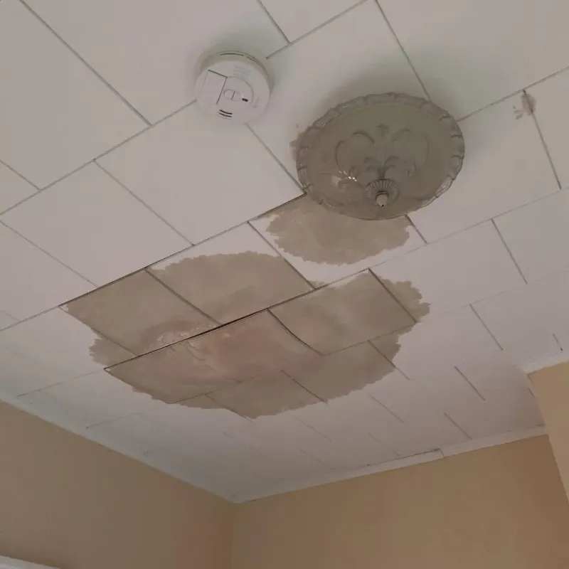 Ceiling Water Damage Repair in South Hutchinson, KS