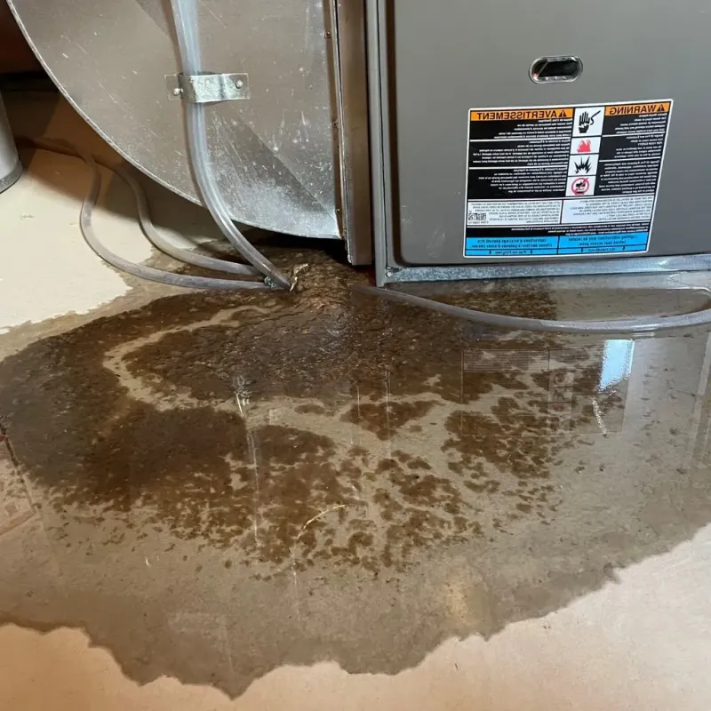 Pipe Burst and Leak Restoration in South Hutchinson, KS