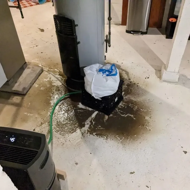 Sewage Backup Cleanup Service in South Hutchinson, KS